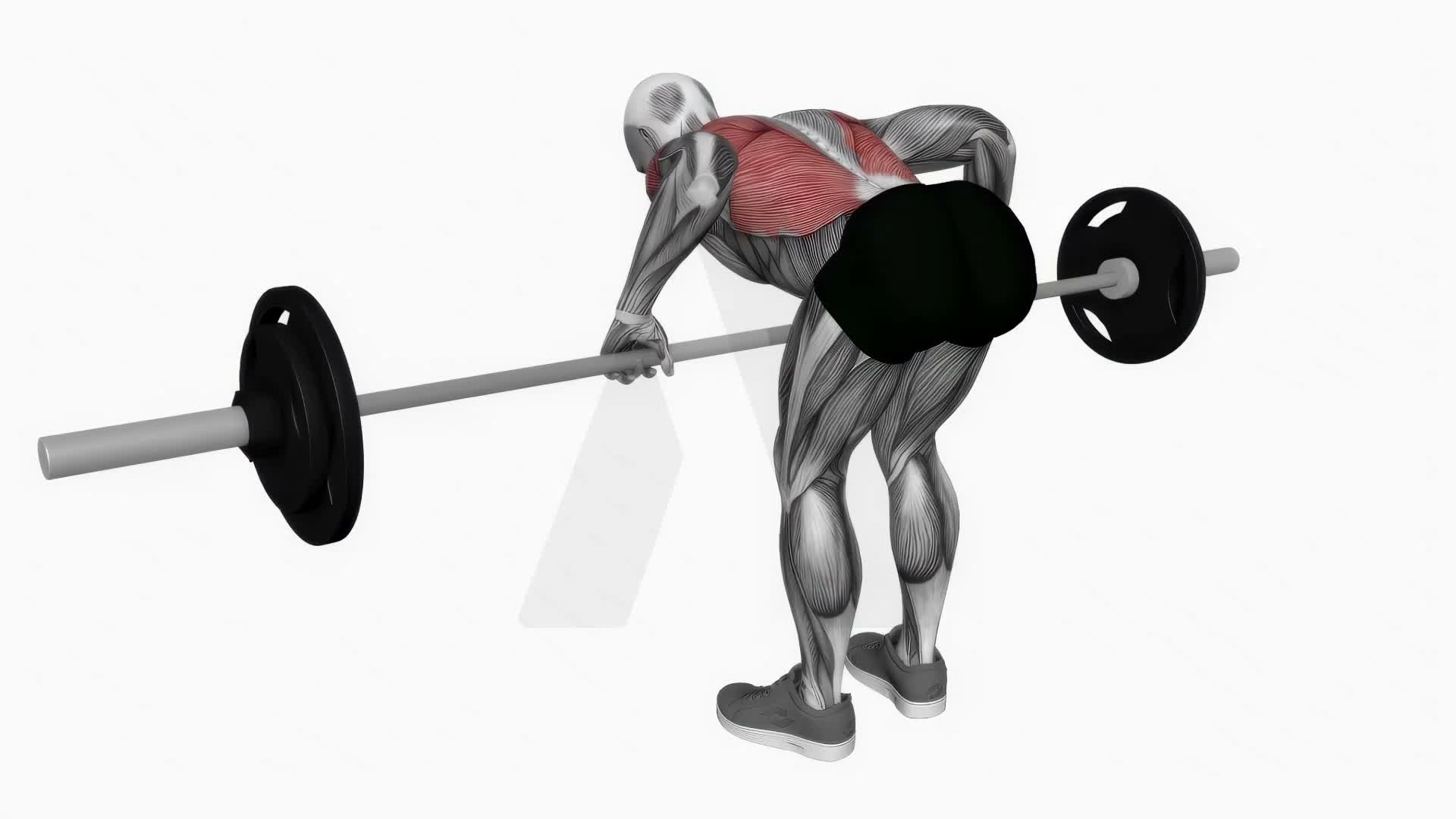 Barbell Pendlay Row exercise demonstration