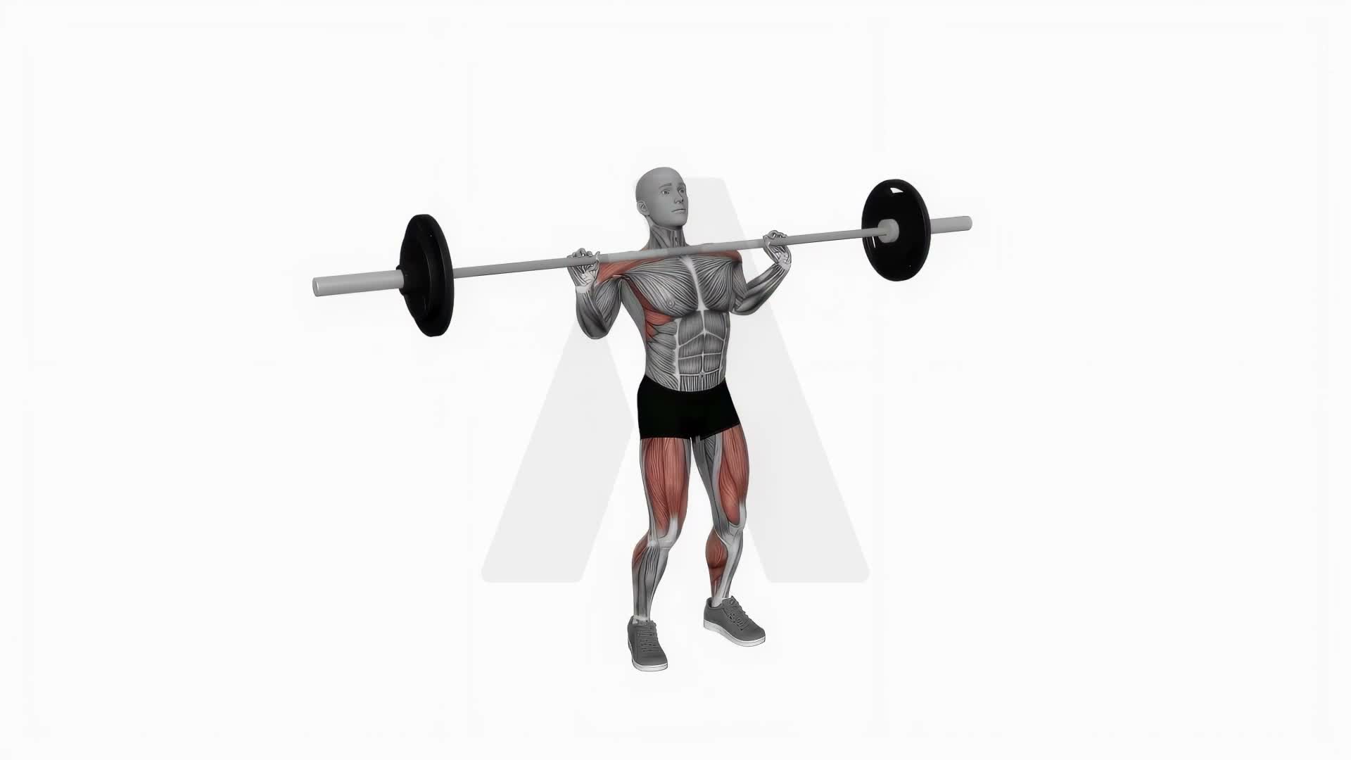 Barbell Power Jerk exercise demonstration