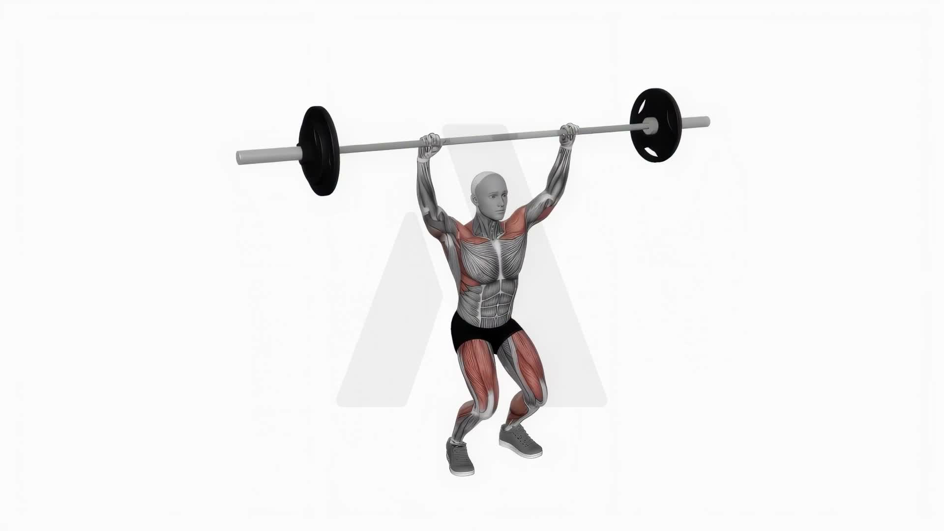Barbell Power Snatch exercise demonstration