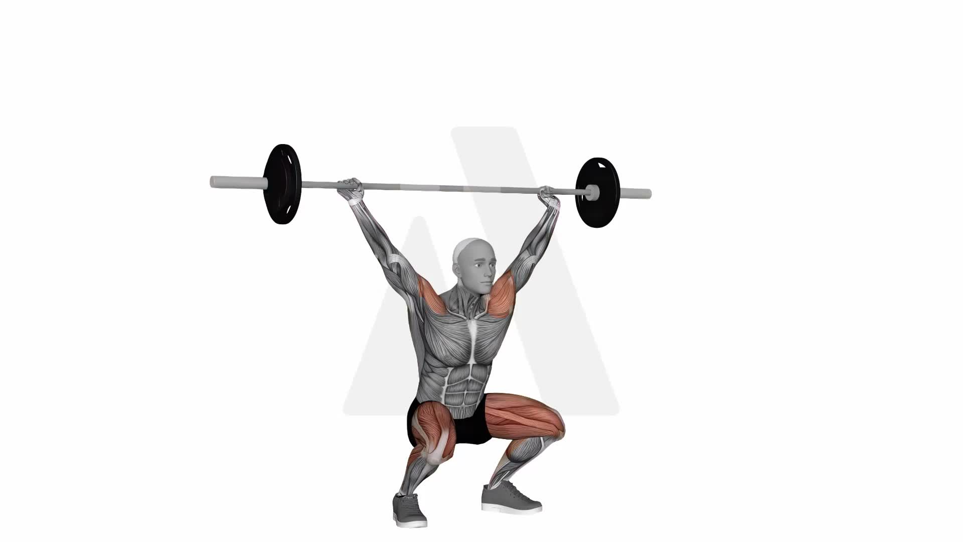 Barbell Press Under exercise demonstration