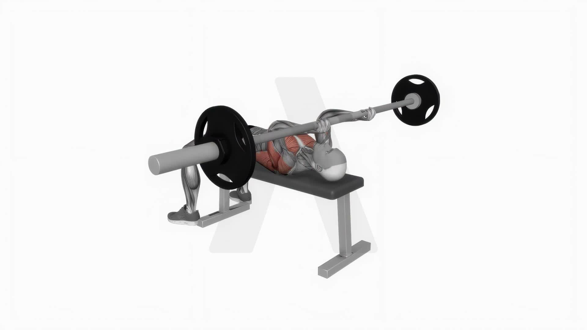Barbell Pullover To Triceps Extension exercise demonstration