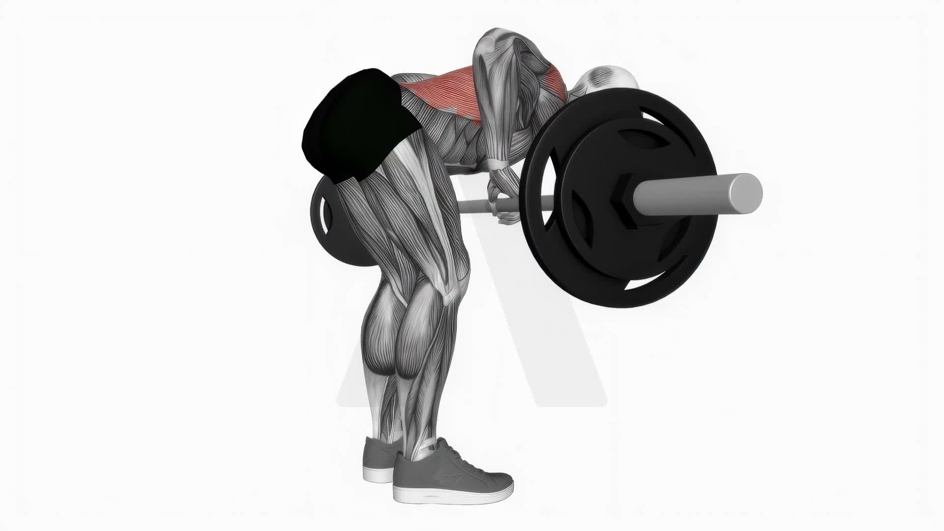 Barbell Push Bent Over Row exercise demonstration