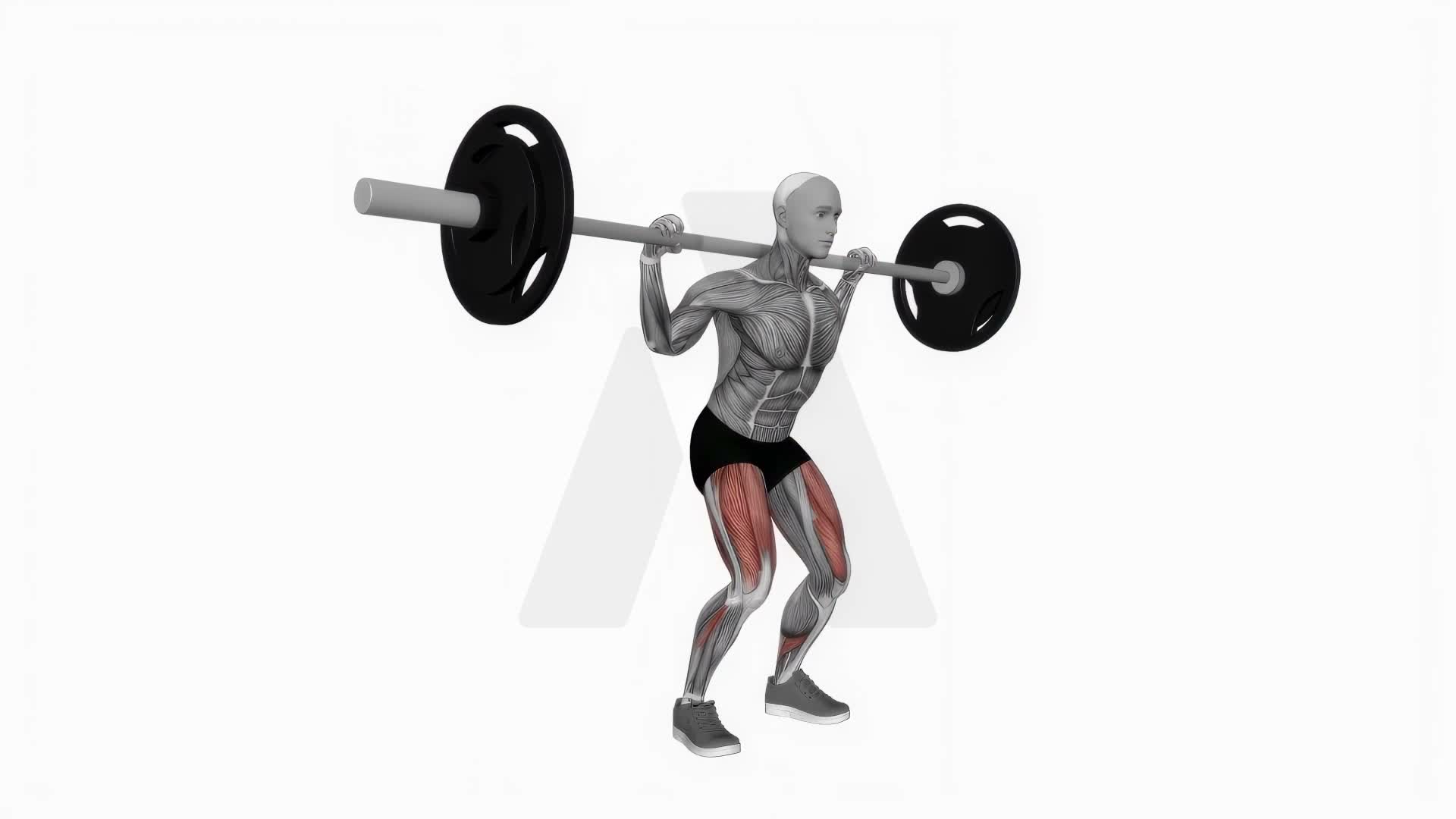 Barbell Quarter Squat exercise demonstration