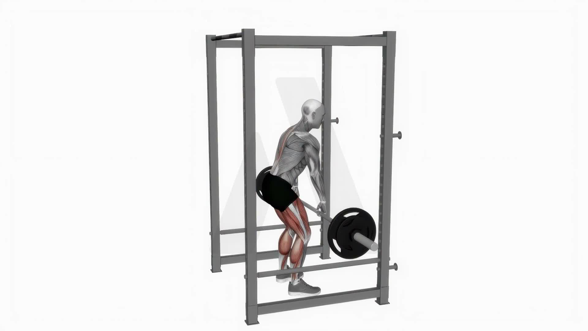Barbell Rack Pull exercise demonstration