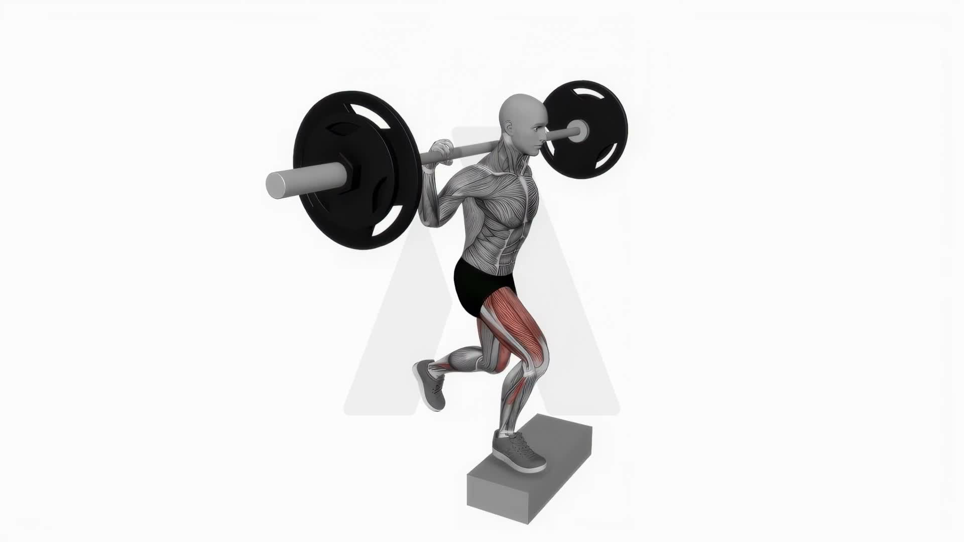 Barbell Rear Lunge On Box exercise demonstration