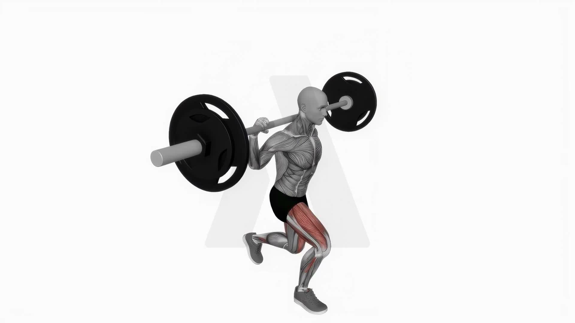 Barbell Rear Lunges exercise demonstration