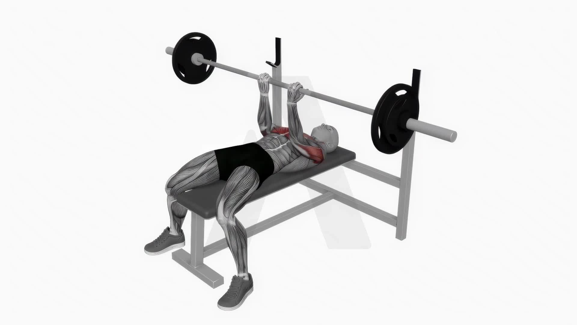 Barbell Reverse Close Grip Bench Press exercise demonstration