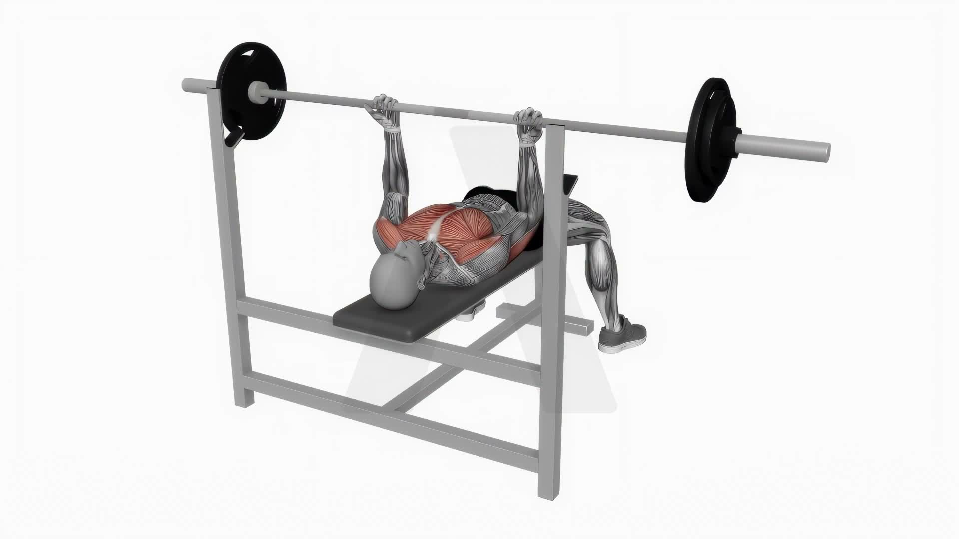 Barbell Reverse Grip Bench Press exercise demonstration