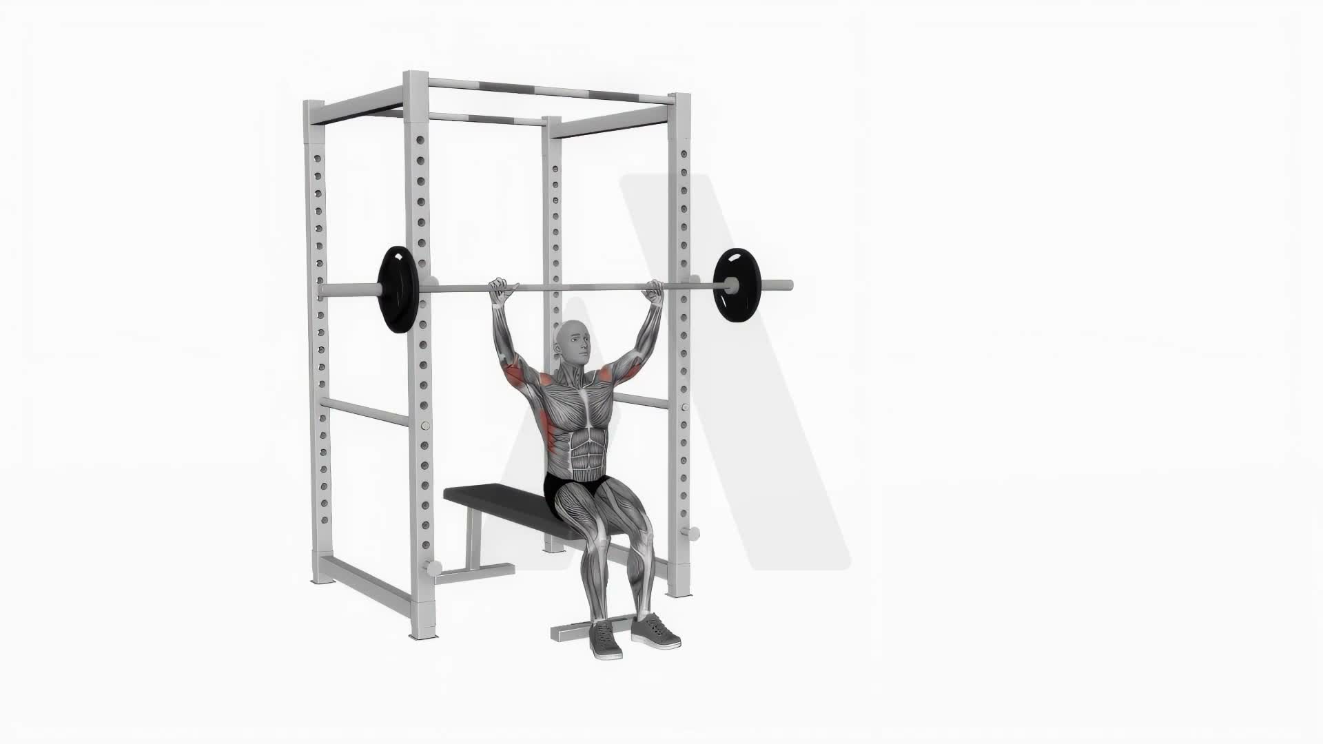 Barbell Seated Military Press exercise demonstration