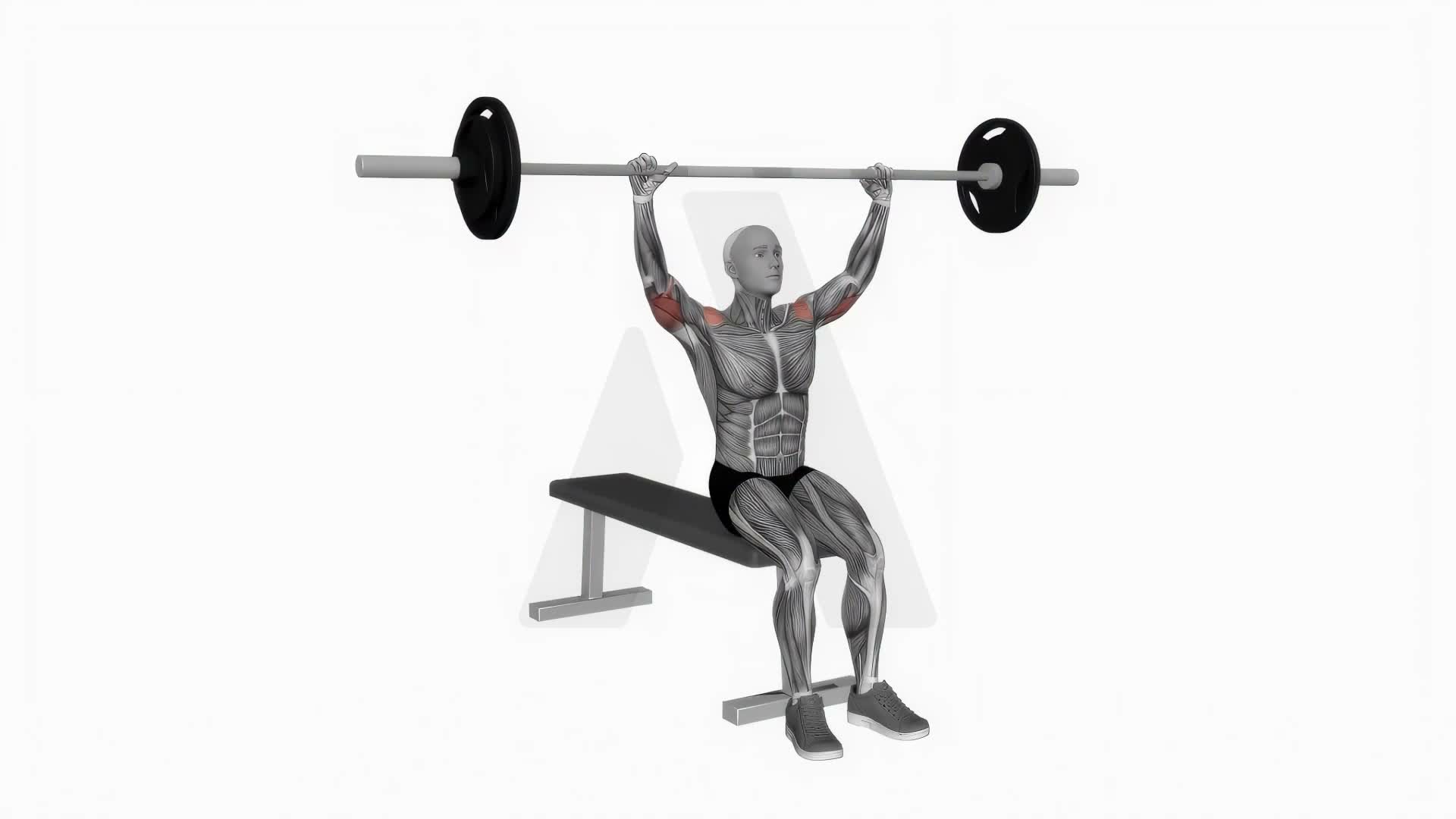 Barbell Seated Overhead Press exercise demonstration
