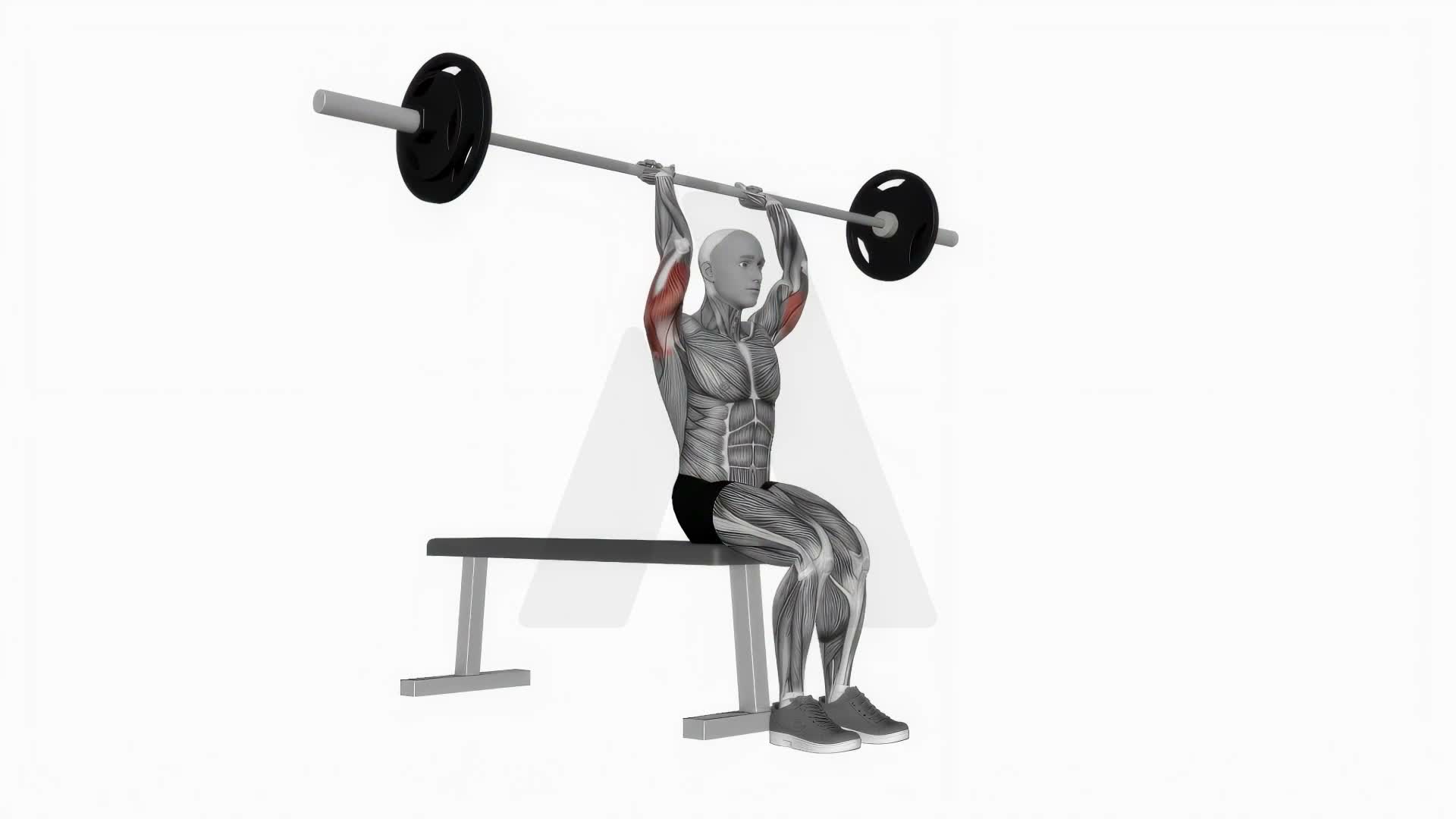 Barbell Seated Overhead Triceps Press exercise demonstration