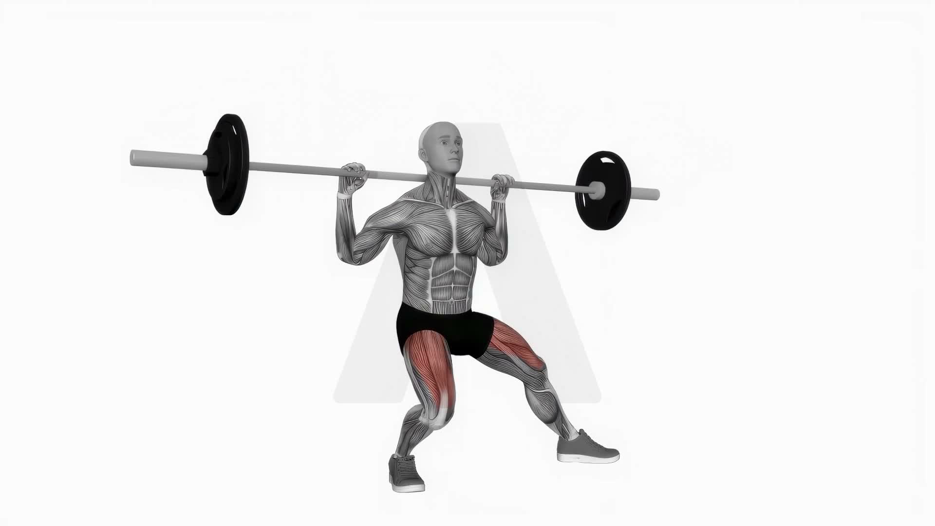 Barbell Side Split Squat exercise demonstration