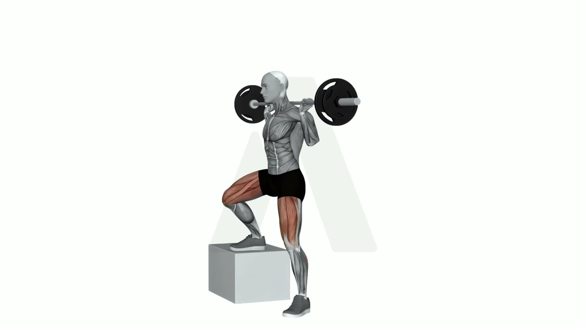 Barbell Side Step Up exercise demonstration