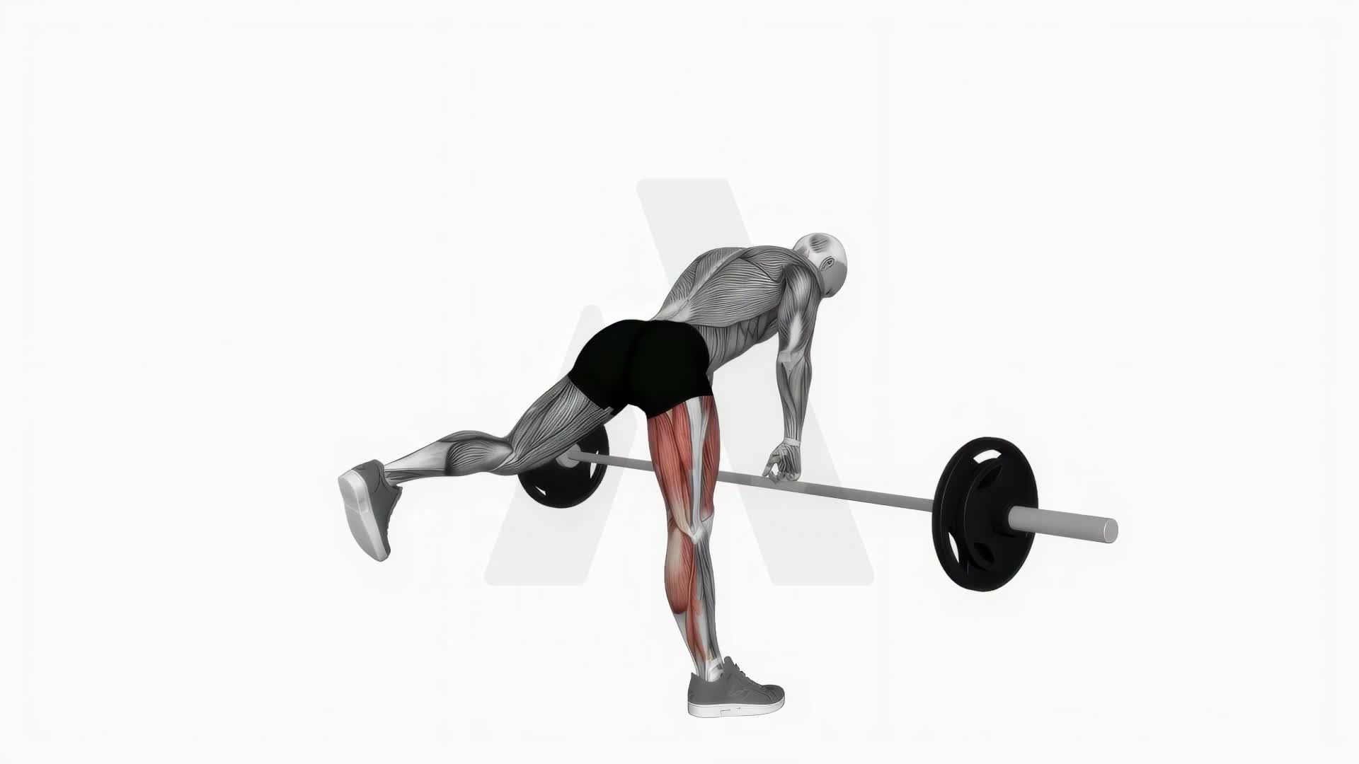 Barbell Single Leg Deadlift exercise demonstration