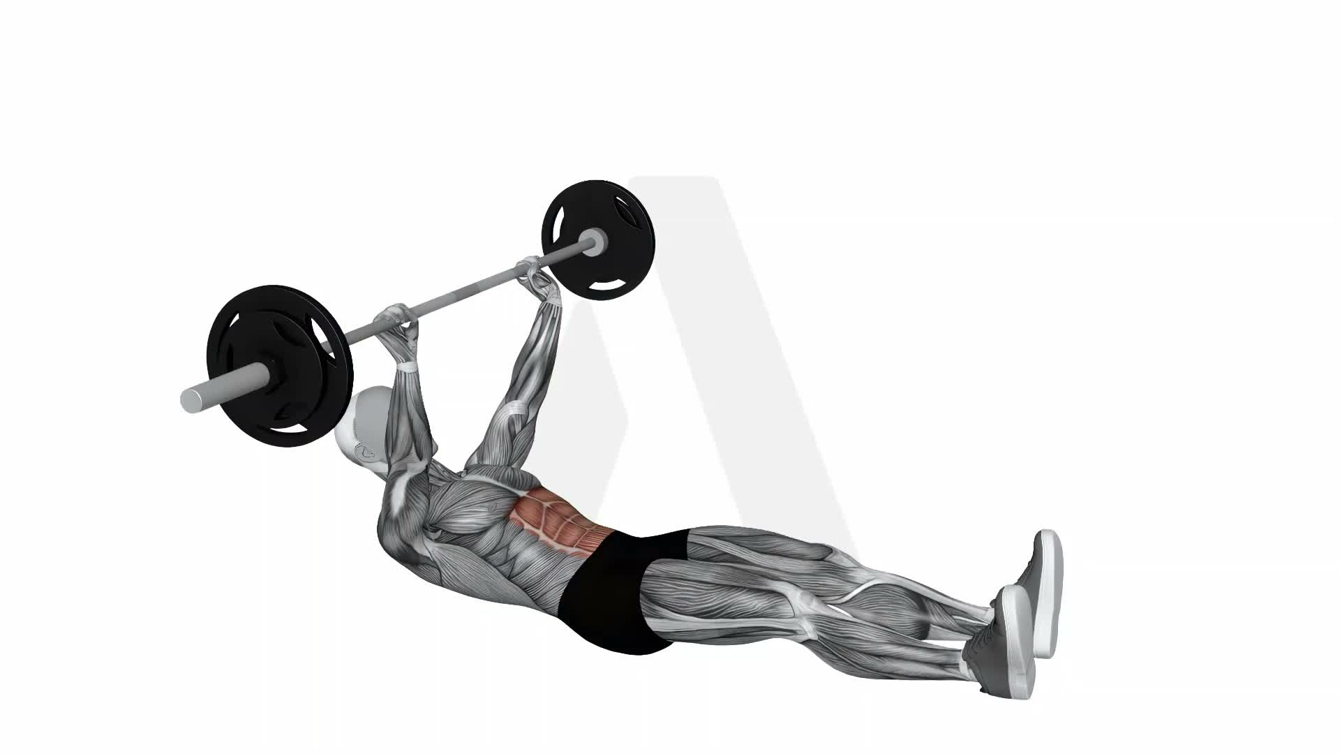 Barbell Situp exercise demonstration