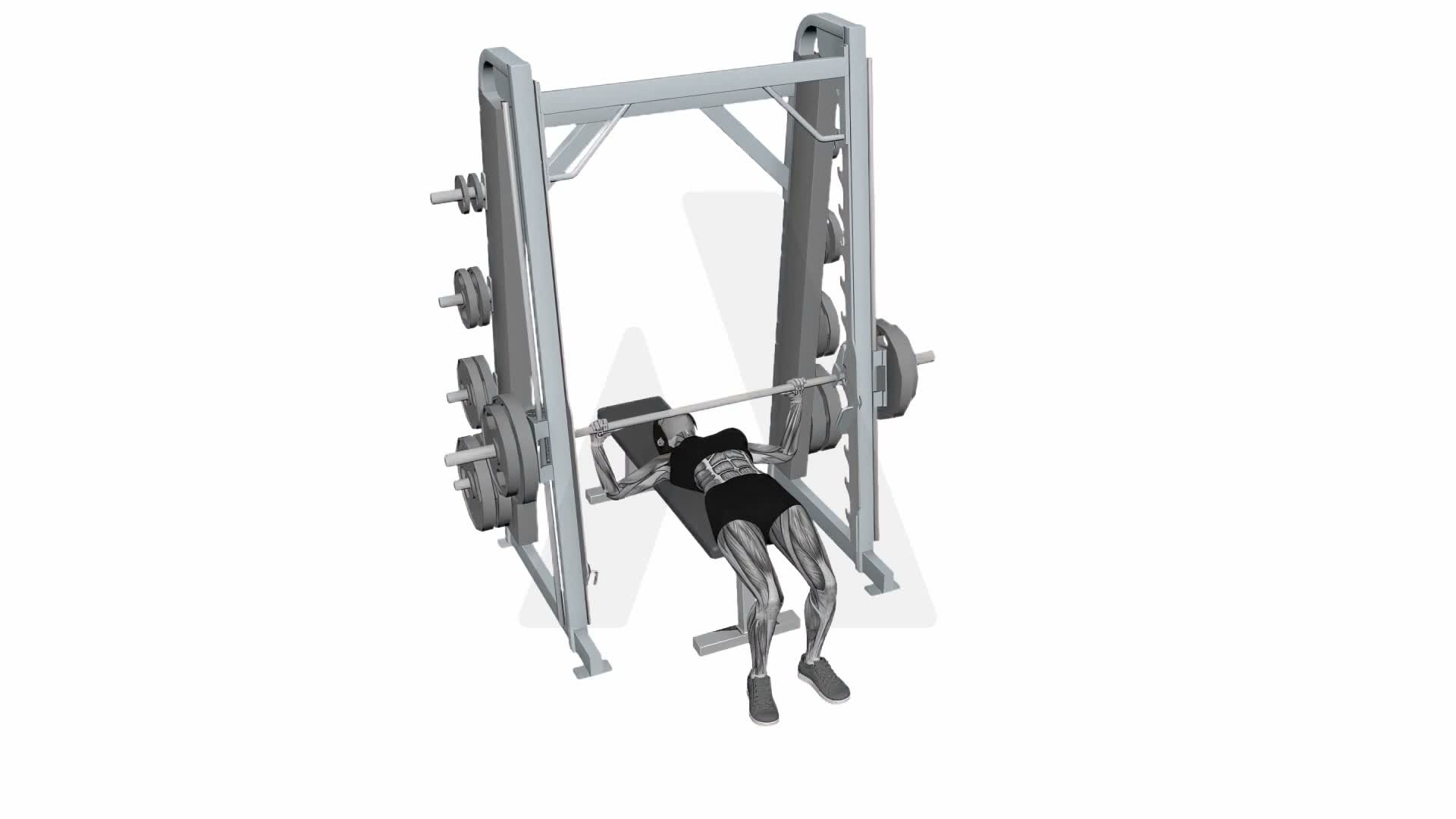 Barbell Smith Chest Press exercise demonstration