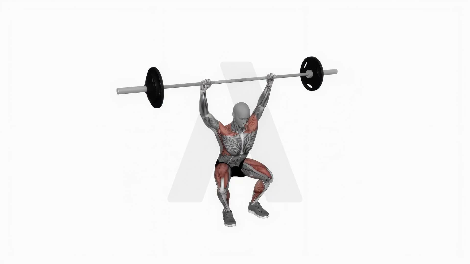 Barbell Snatch exercise demonstration