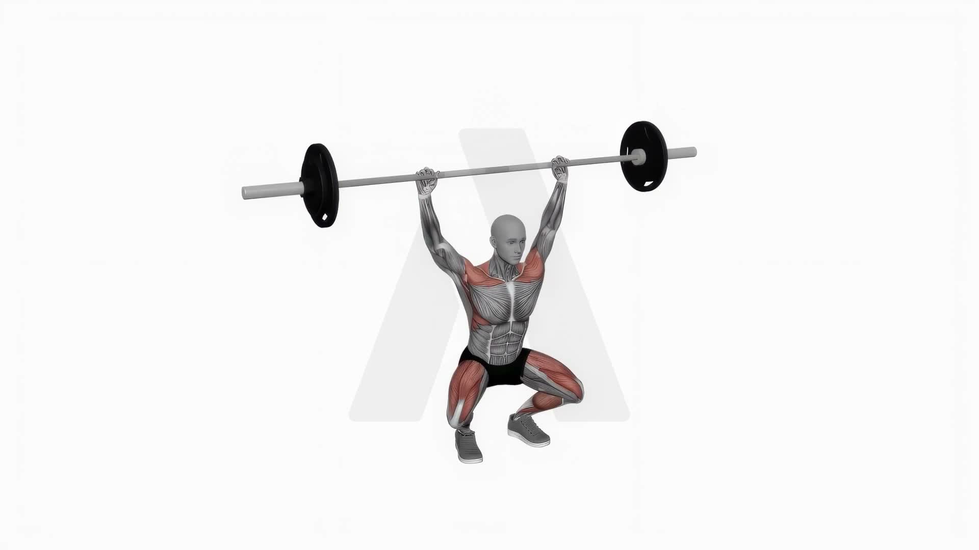 Barbell Snatch Balance exercise demonstration