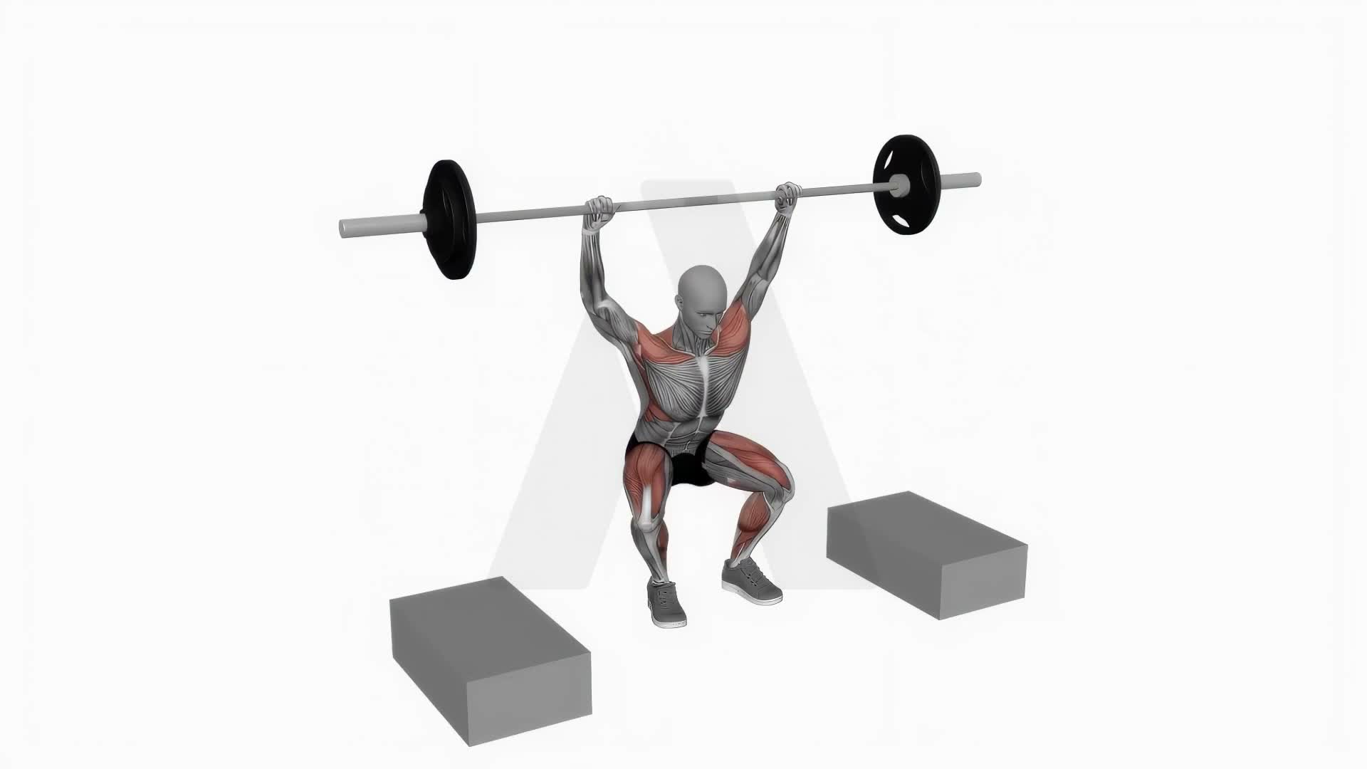 Barbell Snatch From Blocks exercise demonstration
