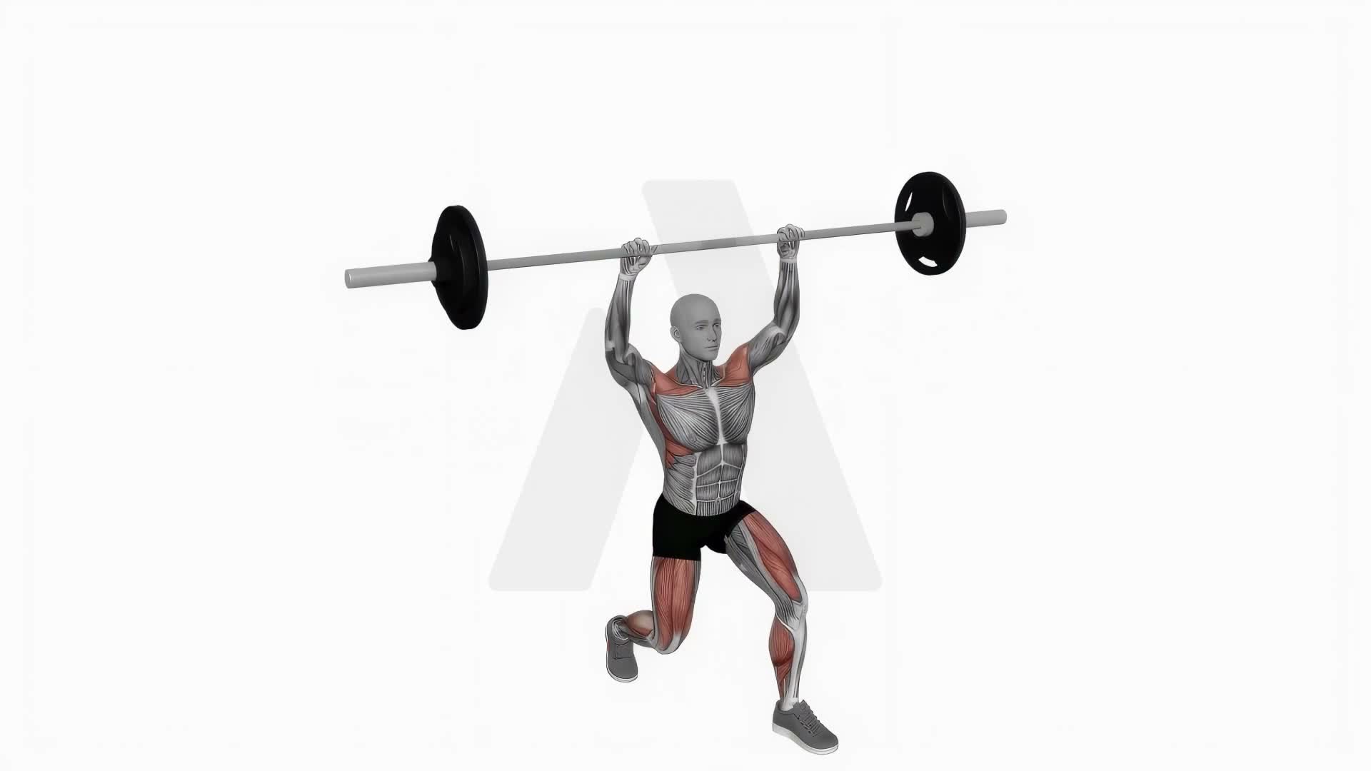 Barbell Split Jerk exercise demonstration