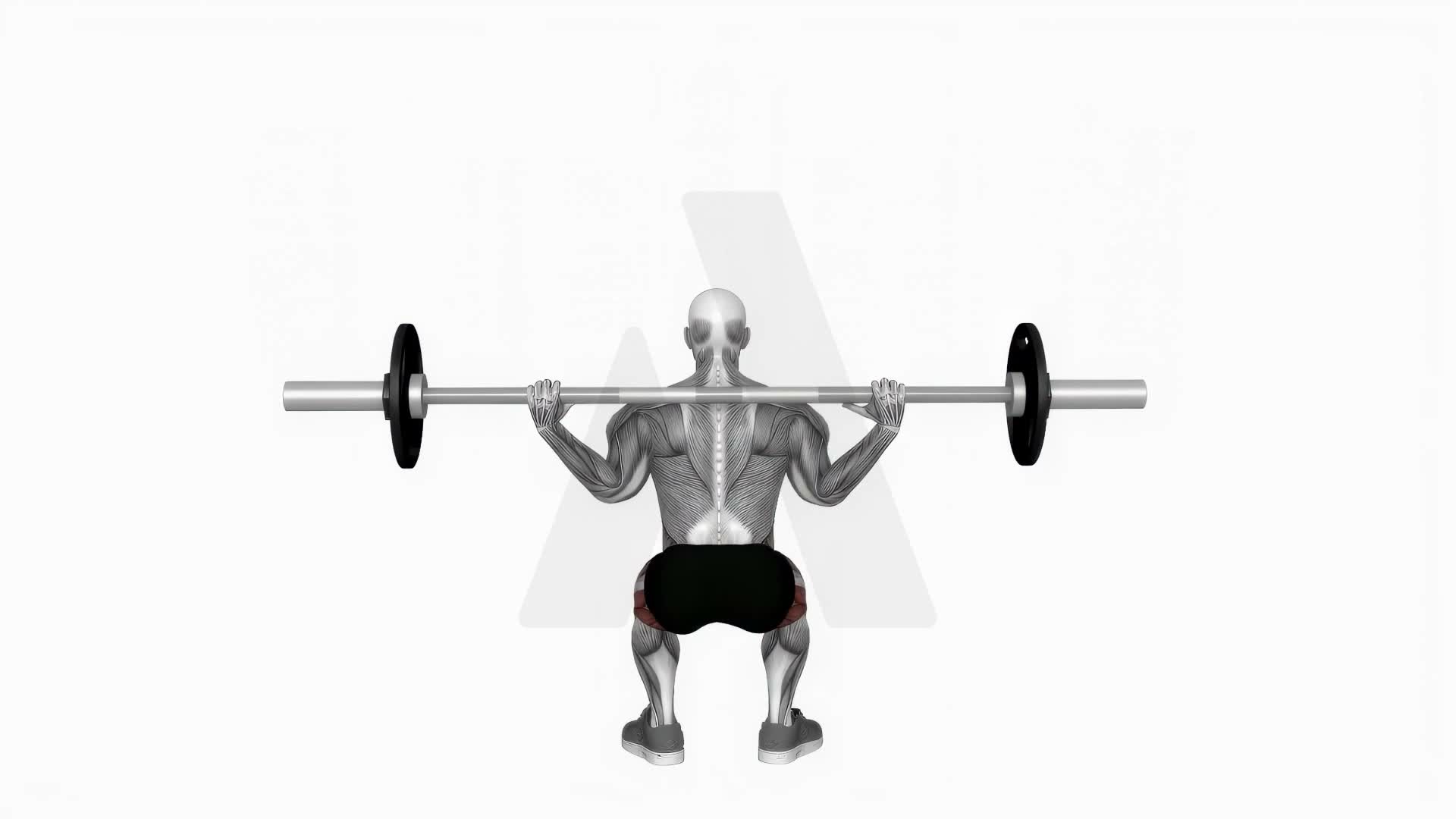 Barbell Squat Back Pov exercise demonstration