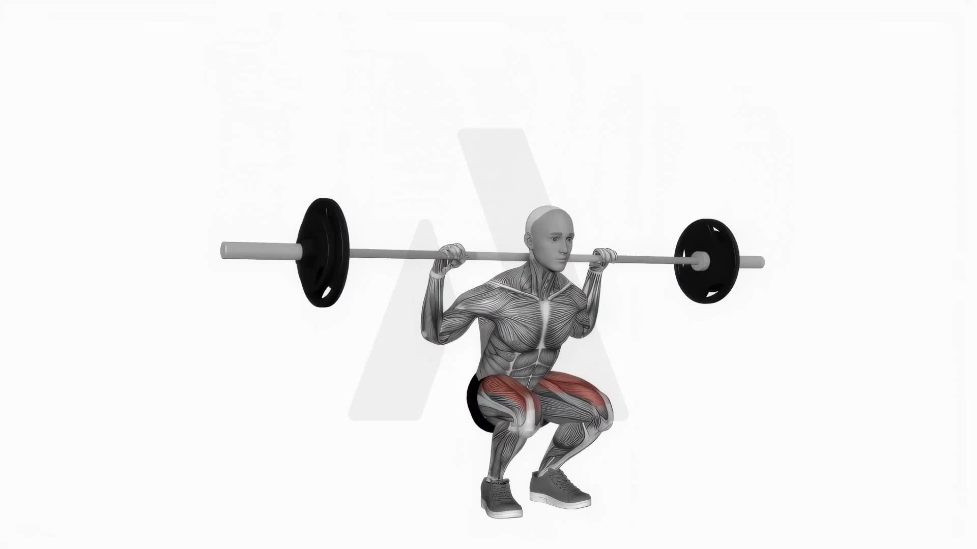 Barbell Squat To Grass exercise demonstration