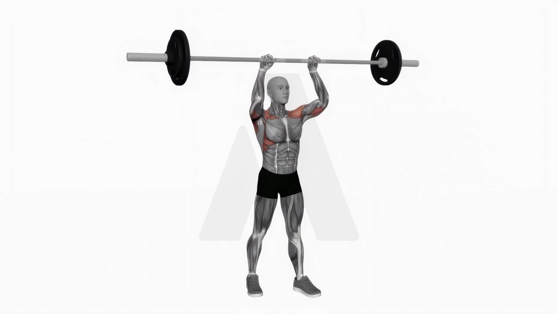 Barbell Standing Close Grip Military Press exercise demonstration
