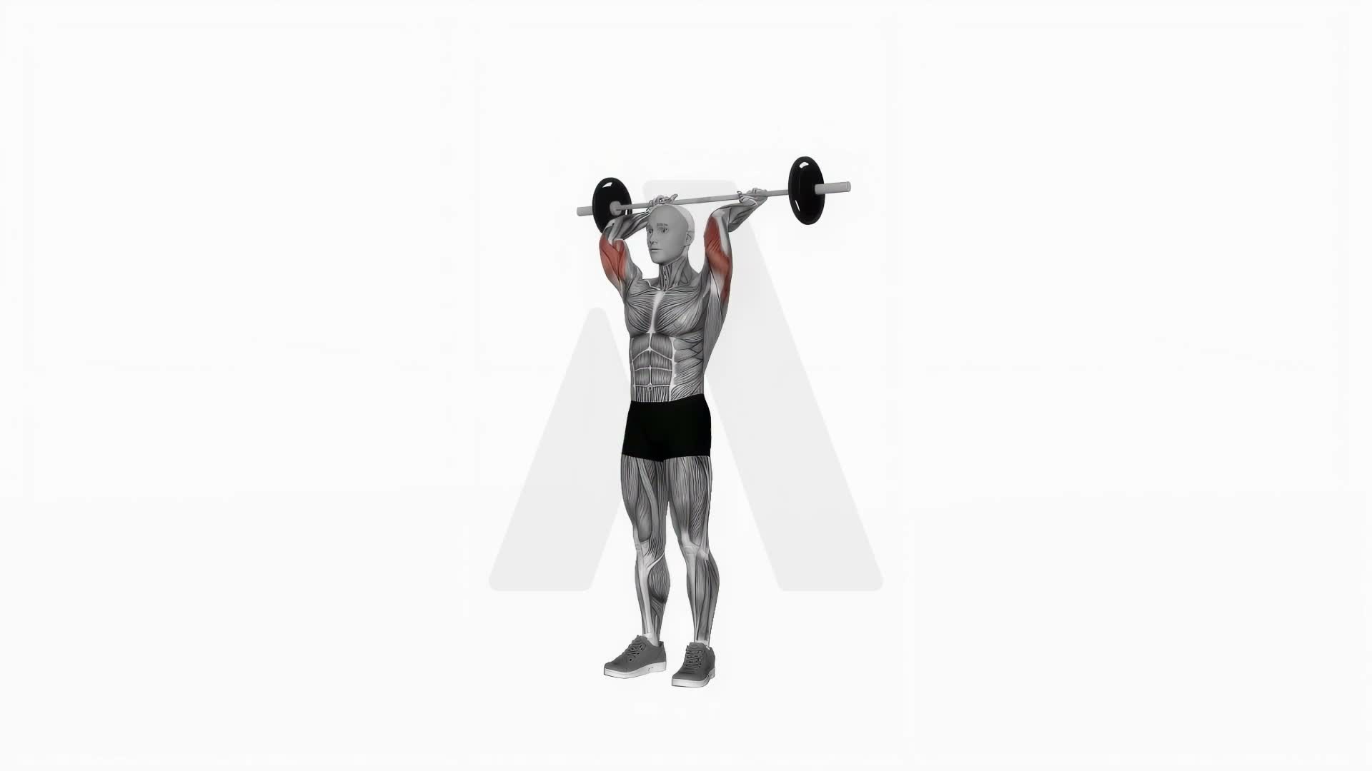 Barbell Overhead Tricep Extension exercise demonstration