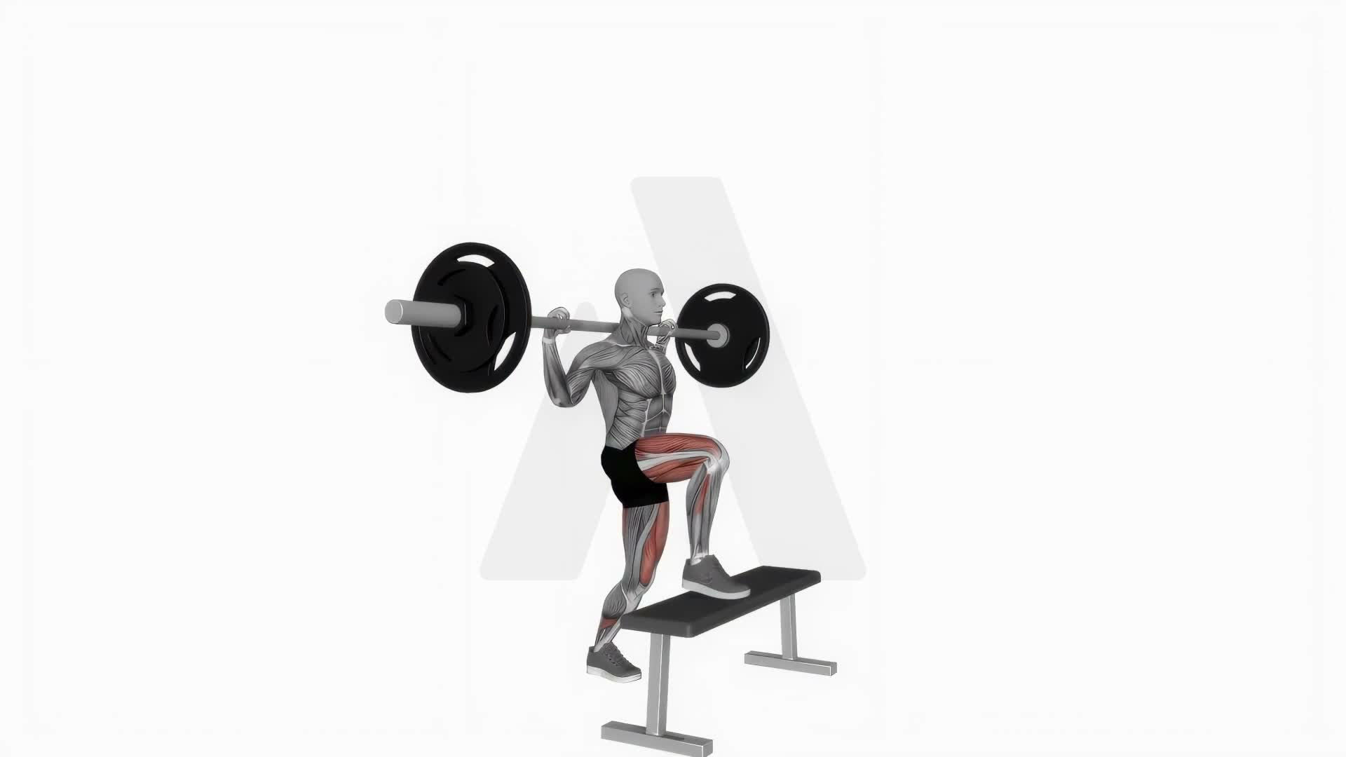 Barbell Step Up On Bench exercise demonstration