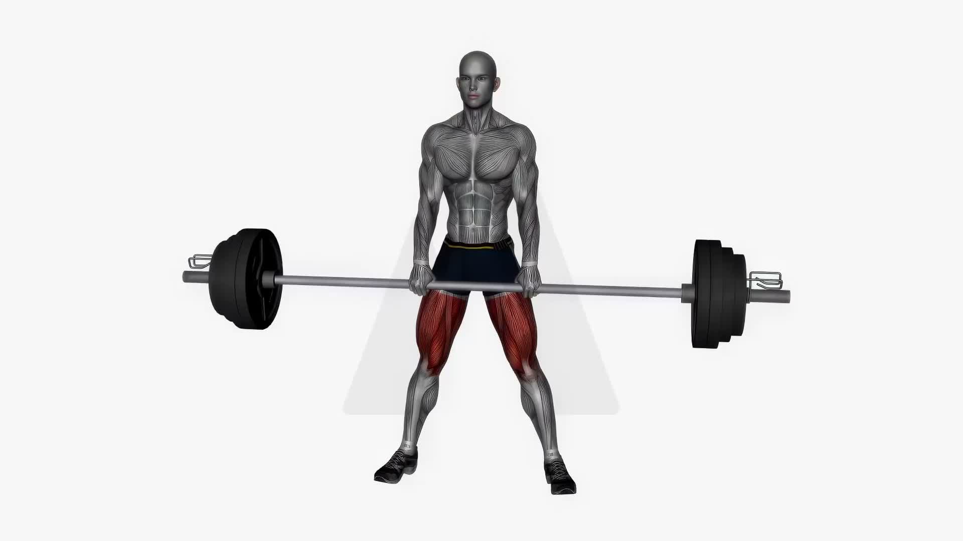 Sumo Deadlift exercise demonstration