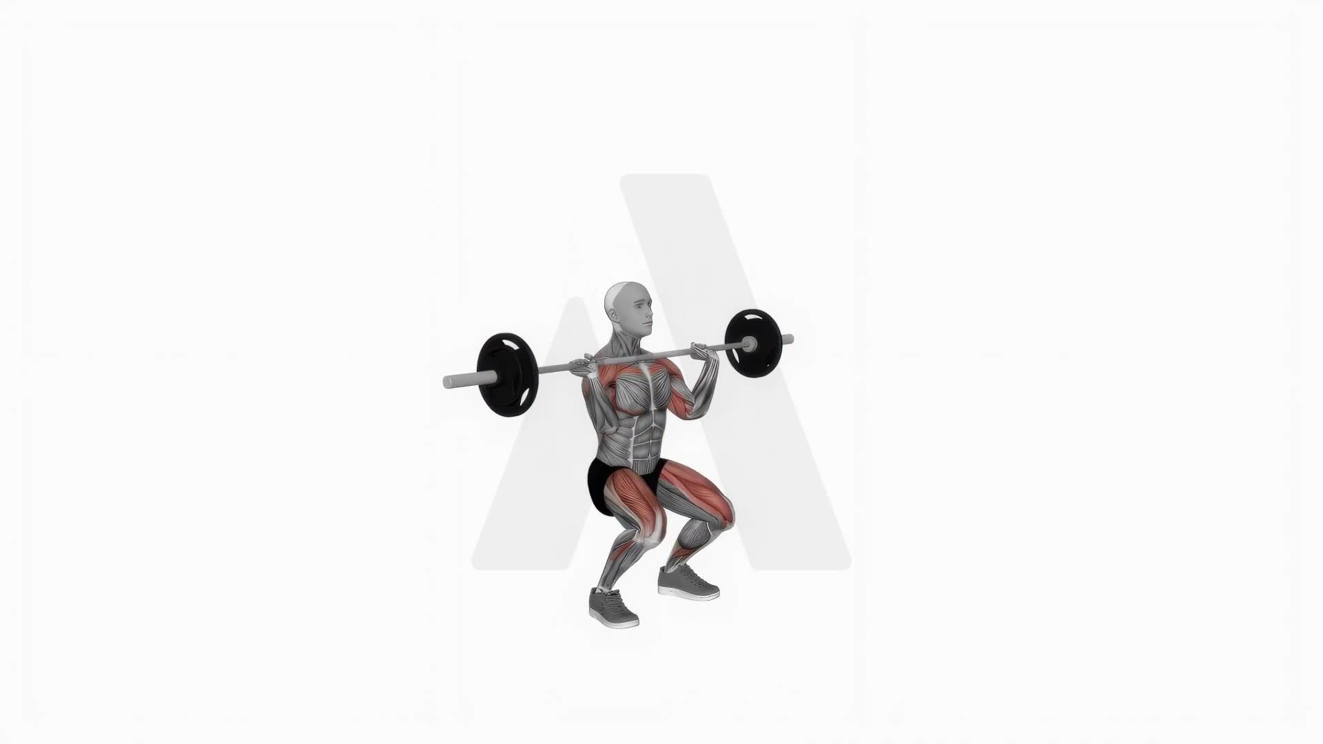 Barbell Thruster exercise demonstration