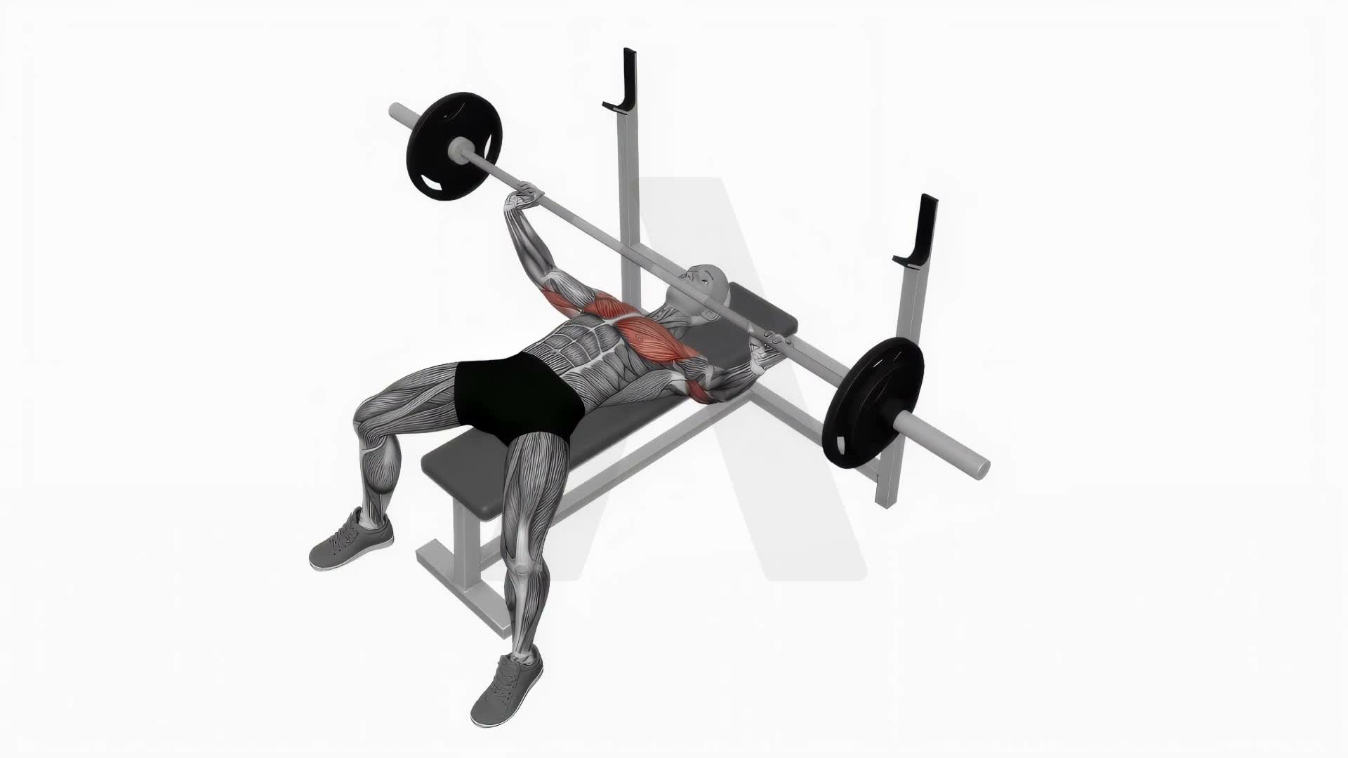 Barbell Wide Bench Press exercise demonstration