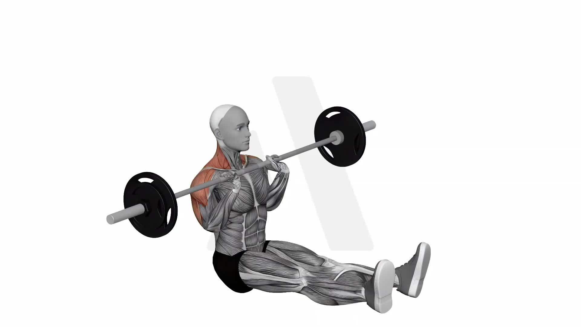Barbell Z Press exercise demonstration