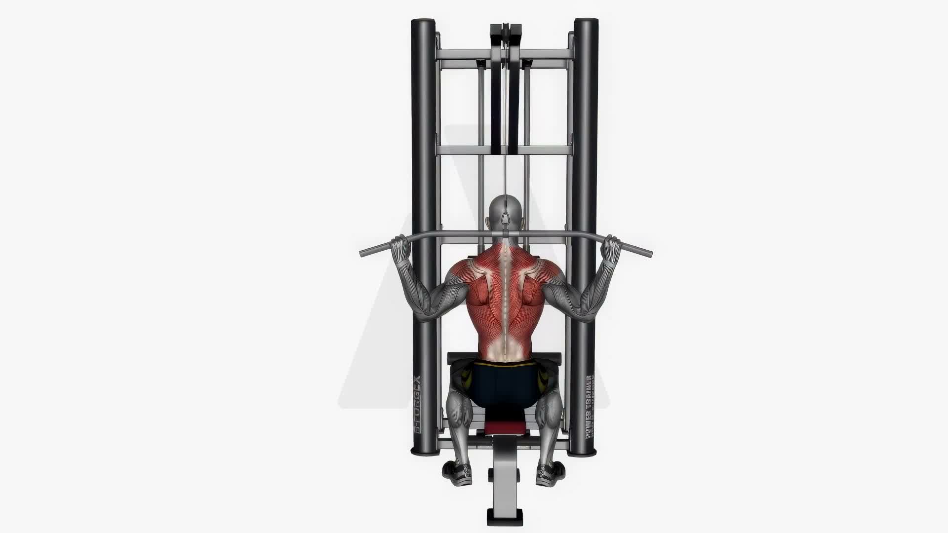 Behind Neck Lat Pull Down Machine exercise demonstration