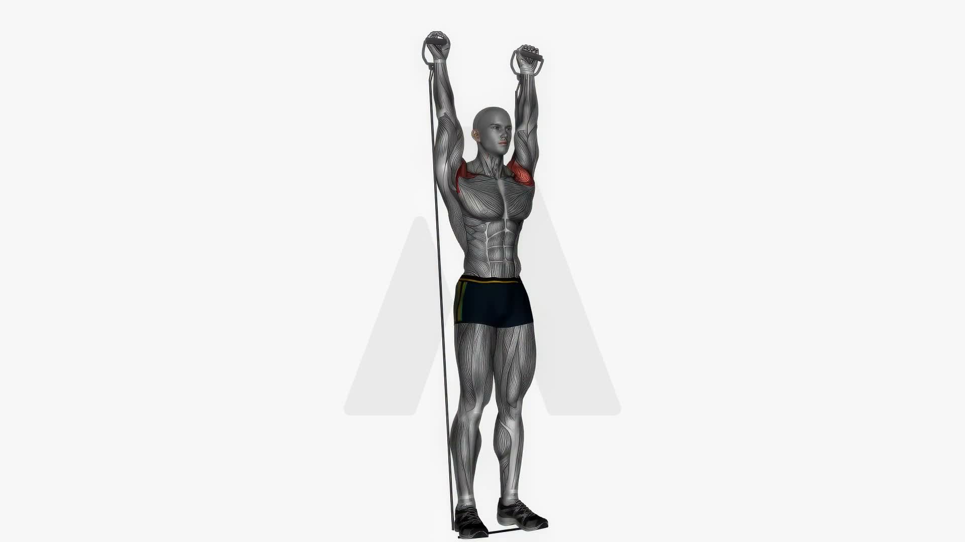 Behind Neck Press Resistance Band Cable exercise demonstration
