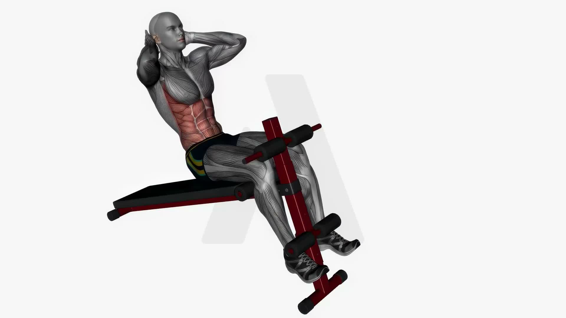 Bench Decline Ab Sit Ups exercise demonstration