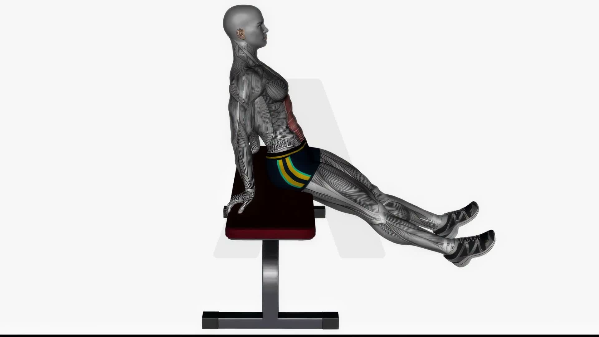 Bench Knee Tucks exercise demonstration