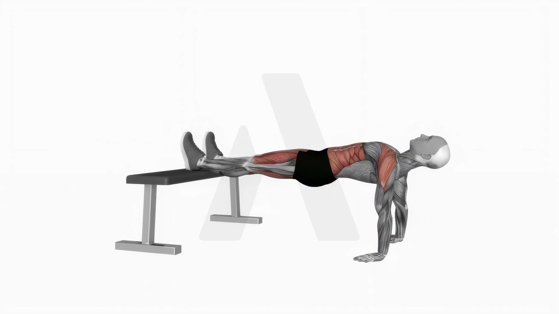 Bench Reverse Plank Hold exercise demonstration