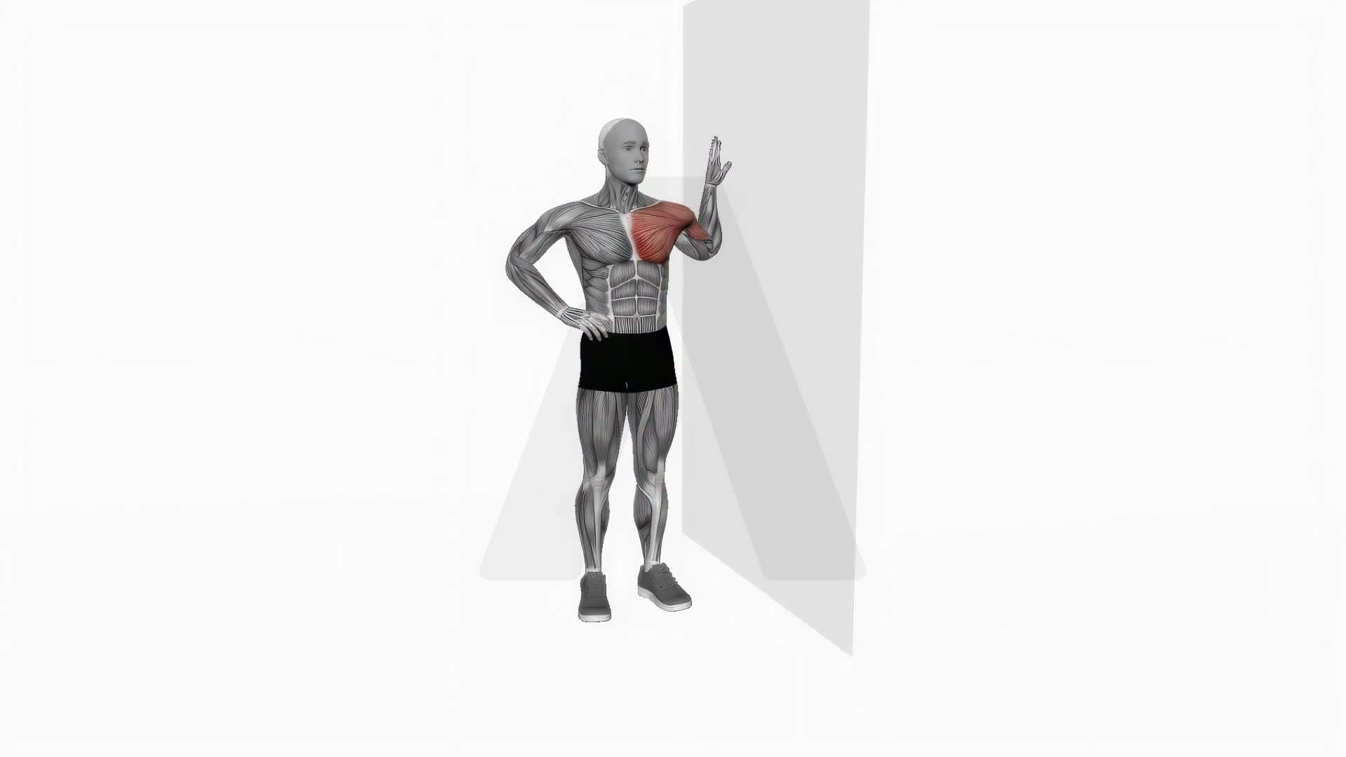 Bent Arm Chest Stretch exercise demonstration