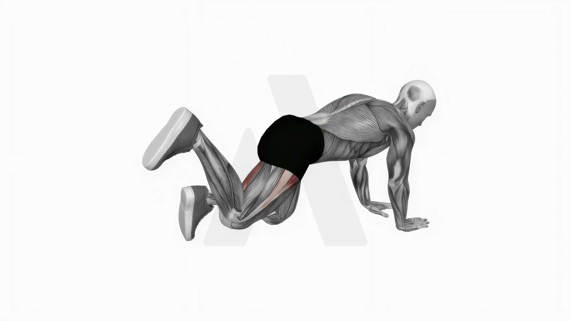Bent Knee Back To Side Kick exercise demonstration