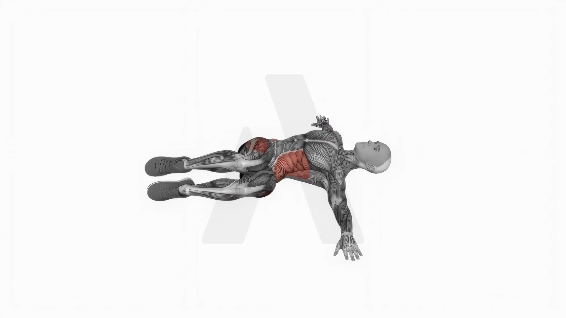 Bent Knee Lying Twist exercise demonstration