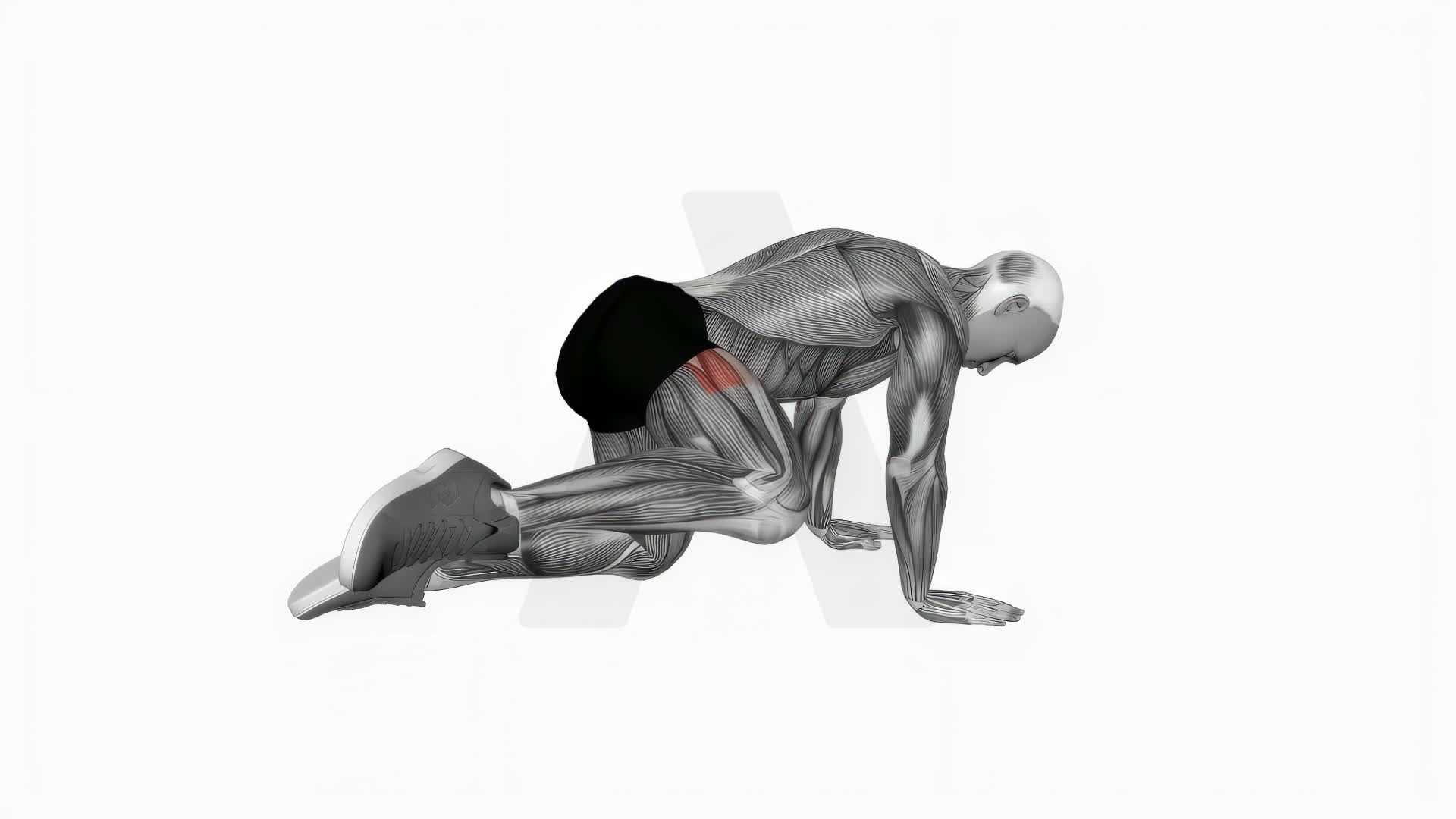Bent Leg Side Kick (Kneeling) exercise demonstration