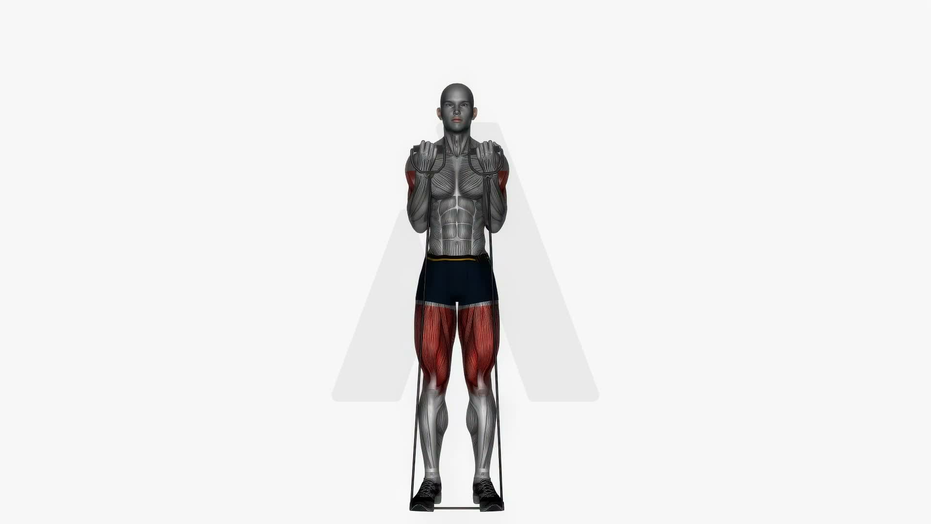 Biceps Curl To Shoulder Press Resistance Band exercise demonstration
