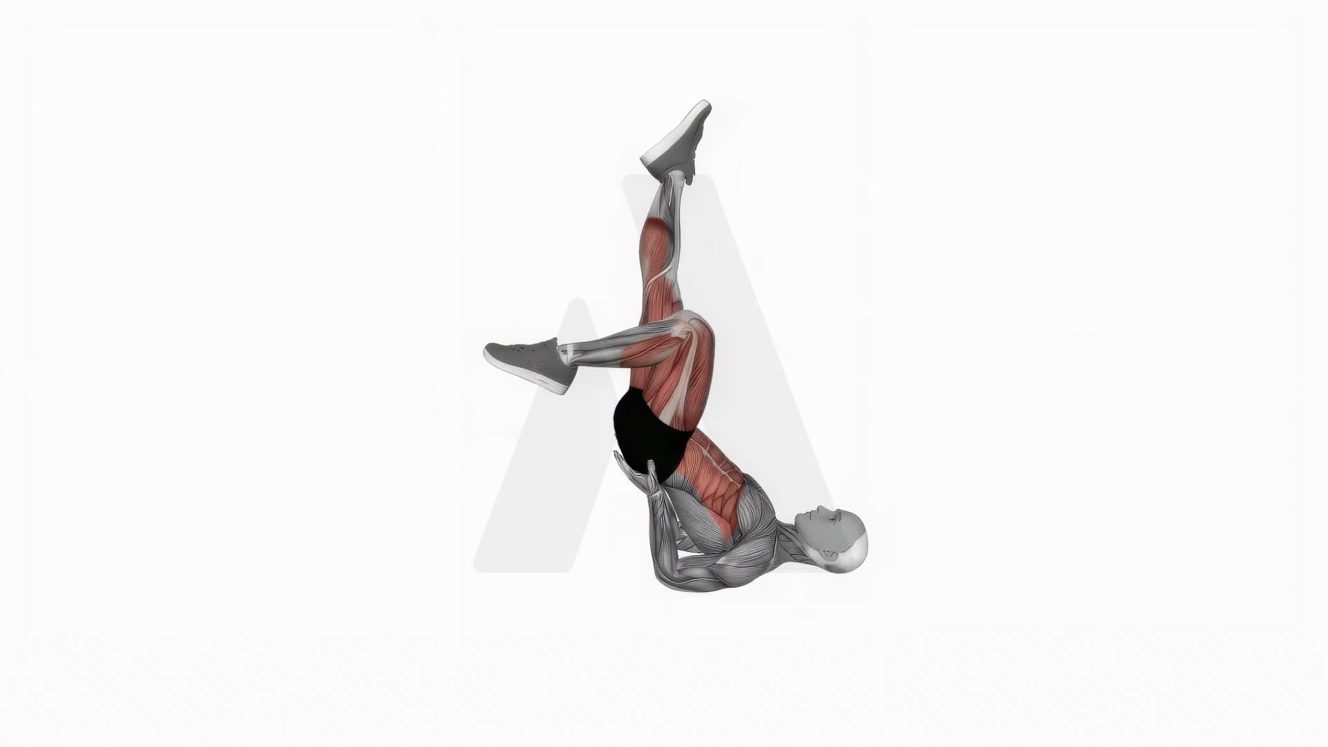 Bicycle Air Legs exercise demonstration