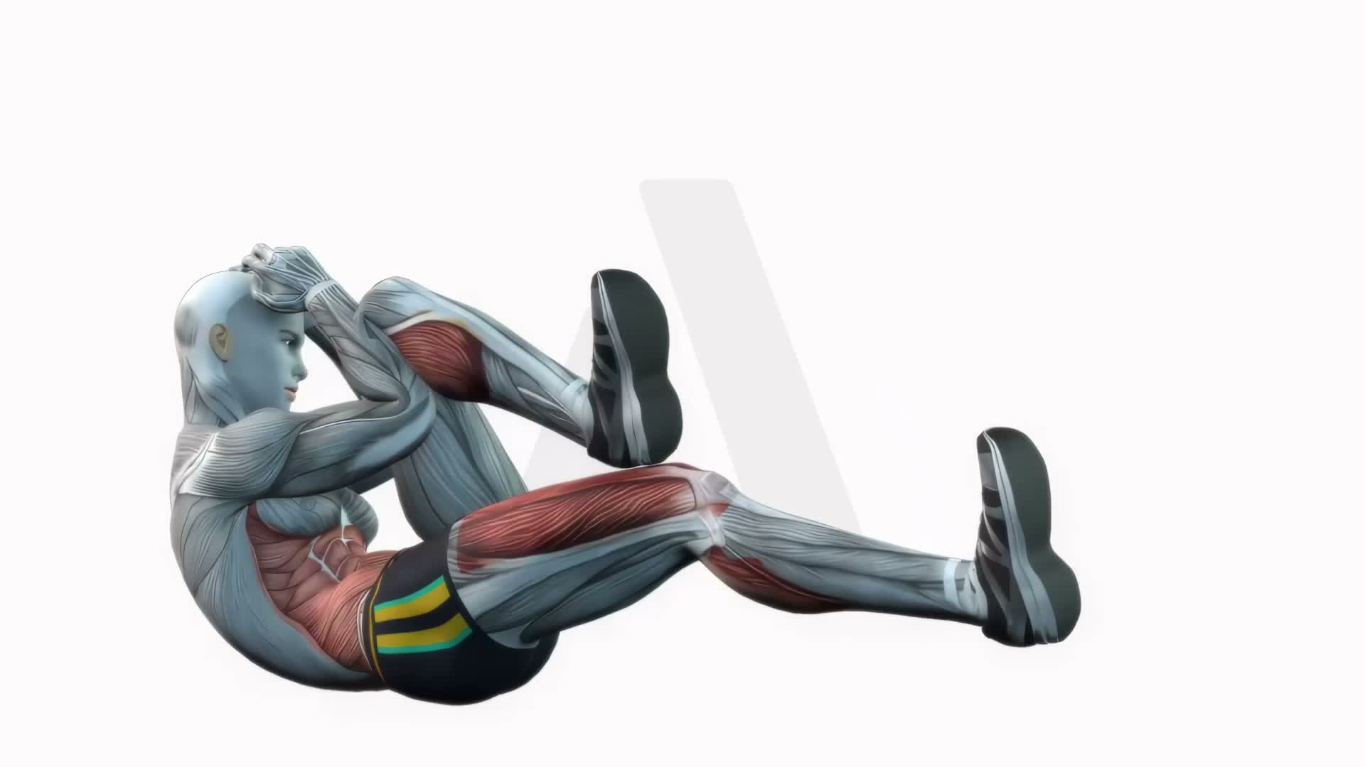 Bicycle Crunch exercise demonstration