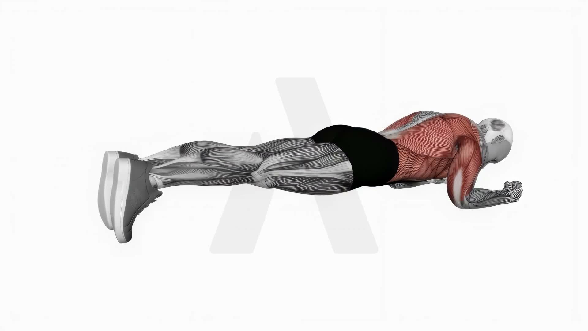 Body Saw Plank exercise demonstration