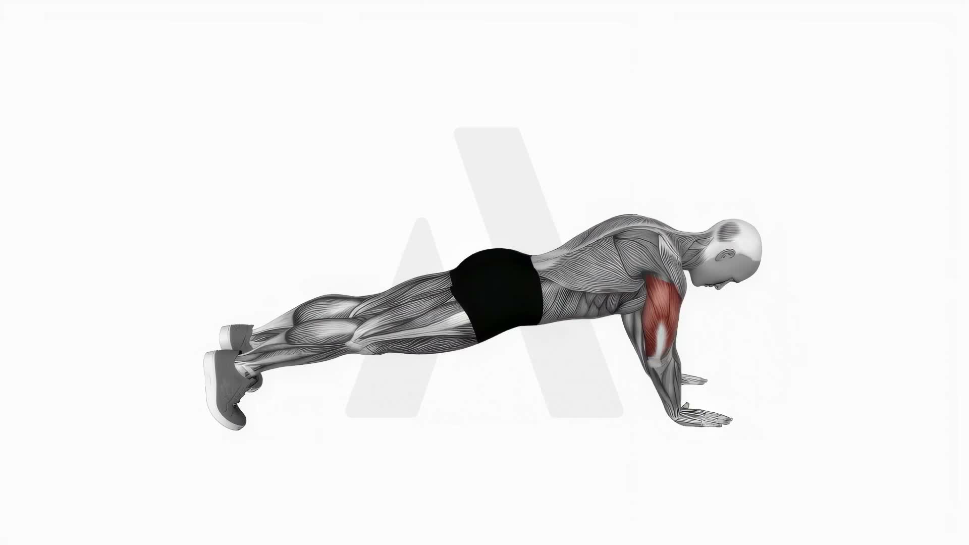 Body Up exercise demonstration