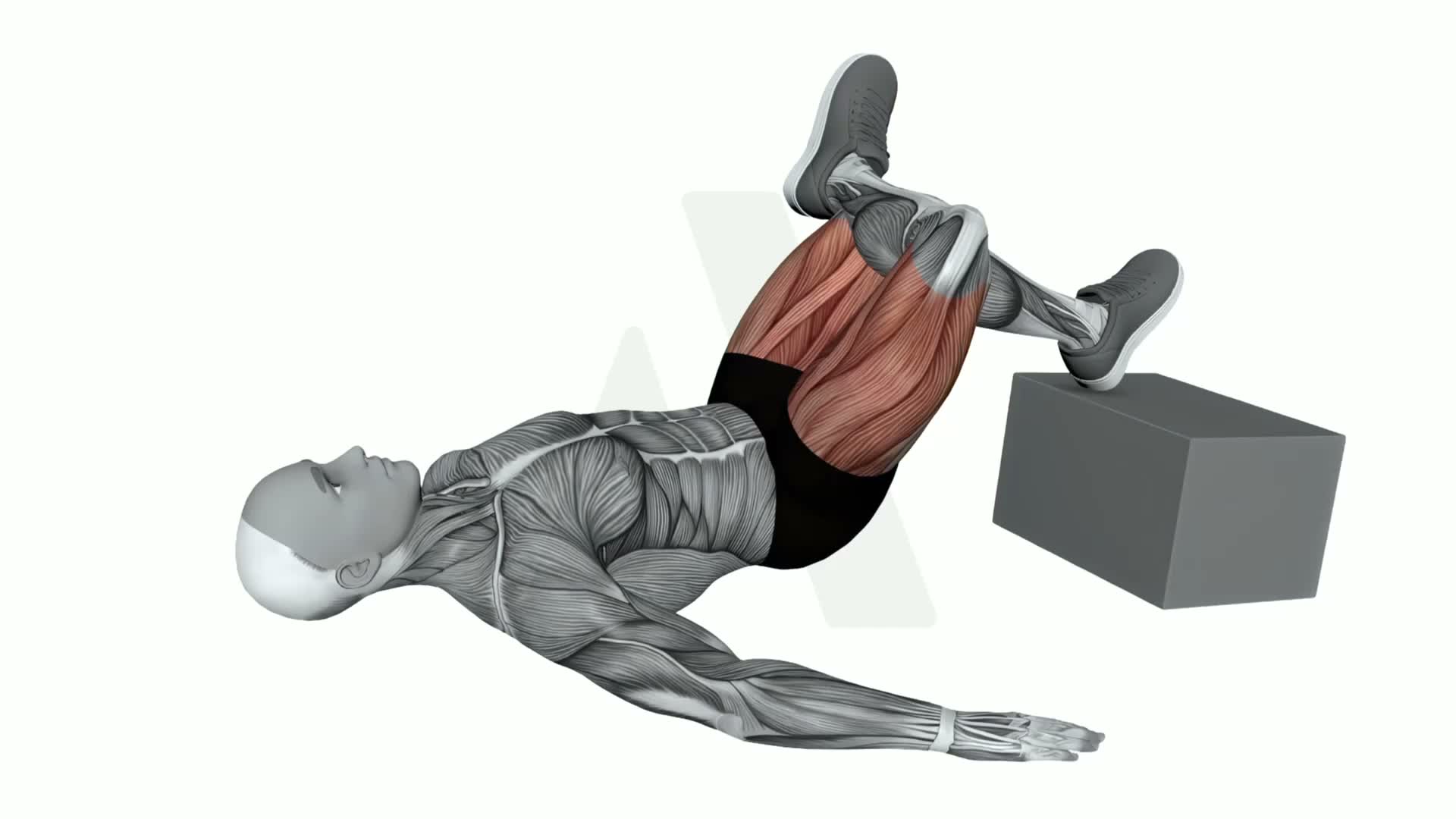 Bodyweight Feet Elevated Figure Four Glute Bridge exercise demonstration