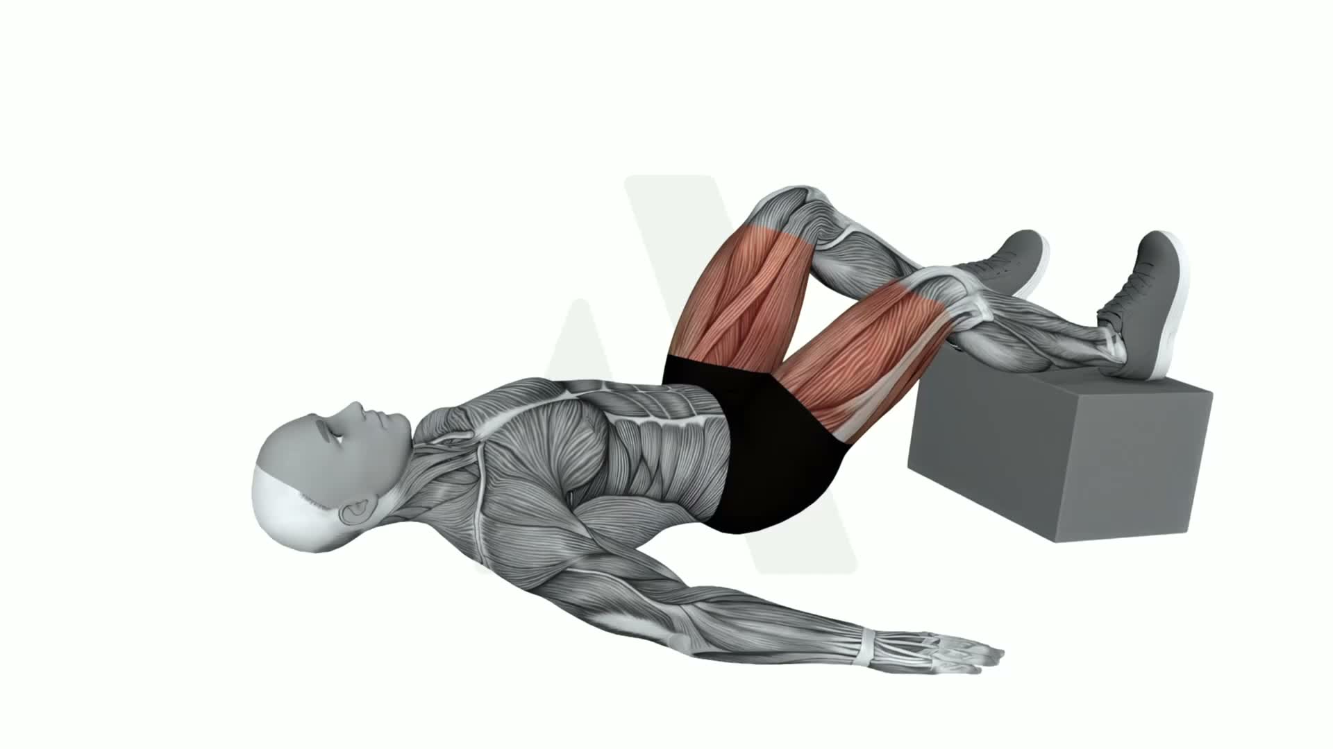 Bodyweight Feet Elevated Staggered Glute Bridge exercise demonstration