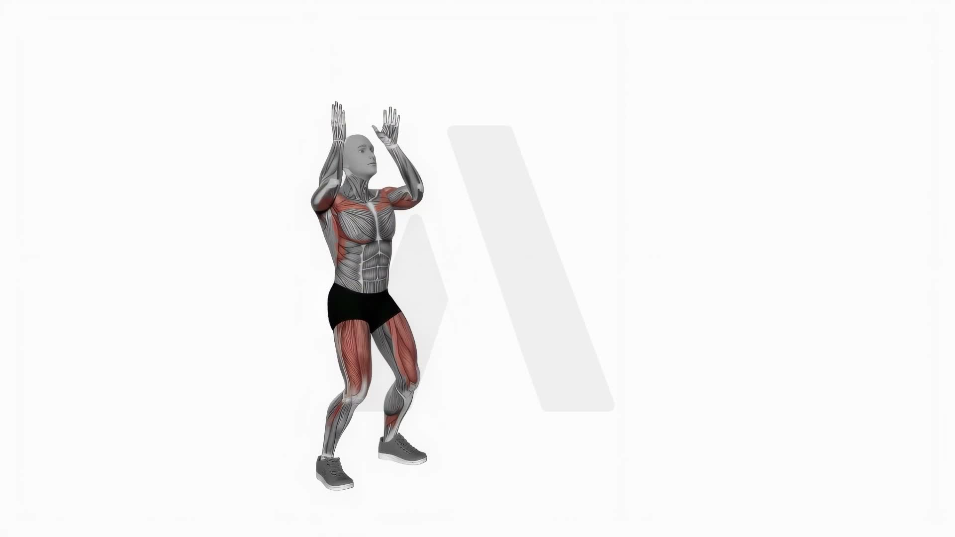 Bodyweight Full Squat With Overhead Press exercise demonstration